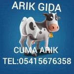 CUMA ARIK ARIKLAR  LOKANTASI